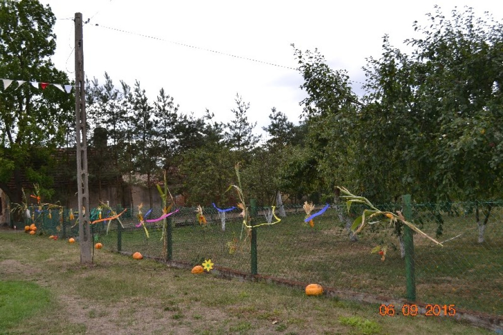 Lewin Brzeski - Gminne Święto Plonów w Sarnach Małych