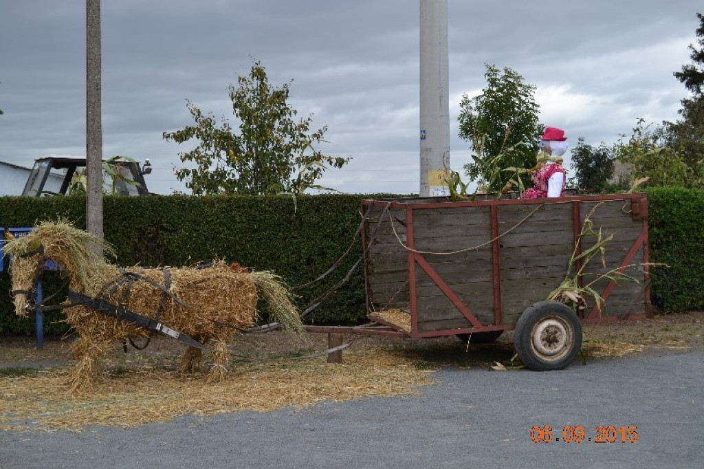 Lewin Brzeski - Gminne Święto Plonów w Sarnach Małych