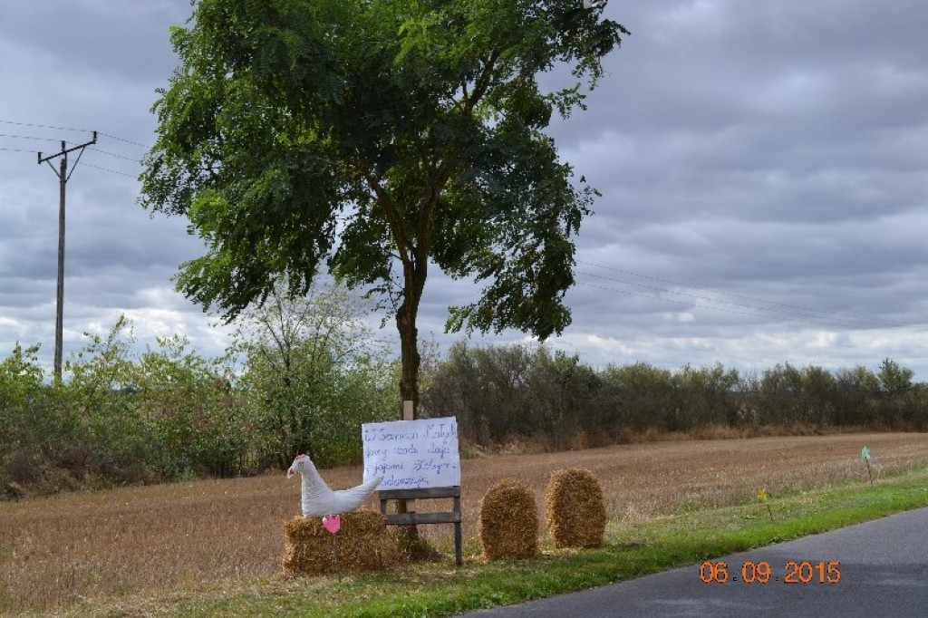 Lewin Brzeski - Gminne Święto Plonów w Sarnach Małych