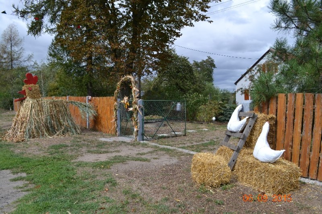 Lewin Brzeski - Gminne Święto Plonów w Sarnach Małych