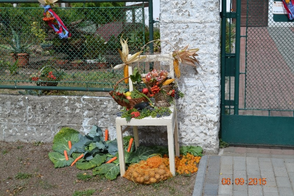 Lewin Brzeski - Gminne Święto Plonów w Sarnach Małych