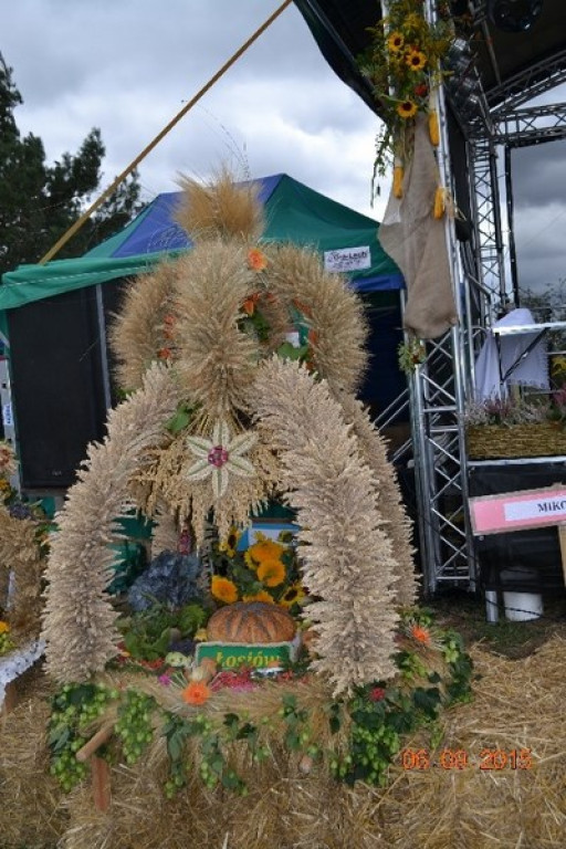 Lewin Brzeski - Gminne Święto Plonów w Sarnach Małych
