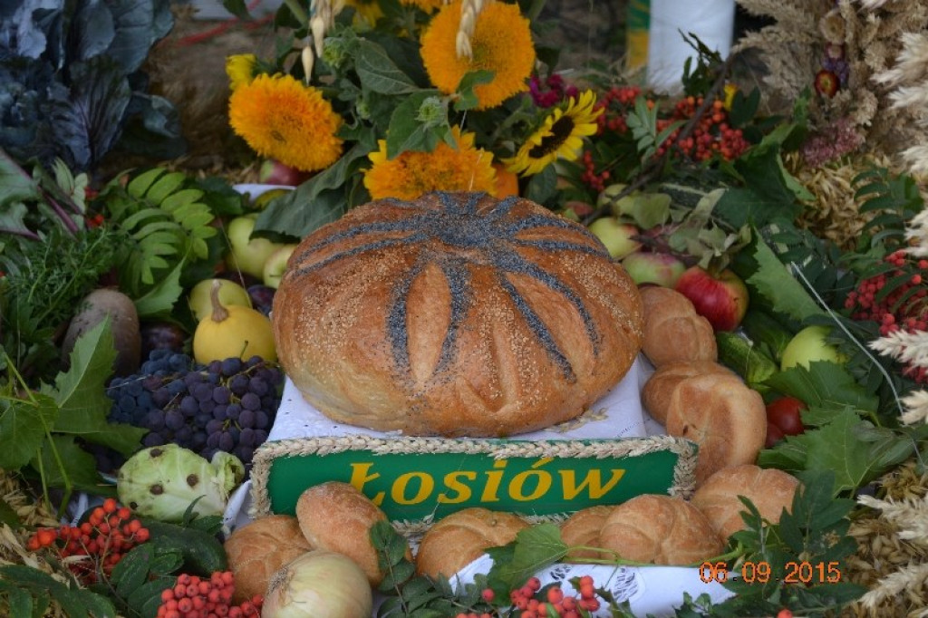 Lewin Brzeski - Gminne Święto Plonów w Sarnach Małych