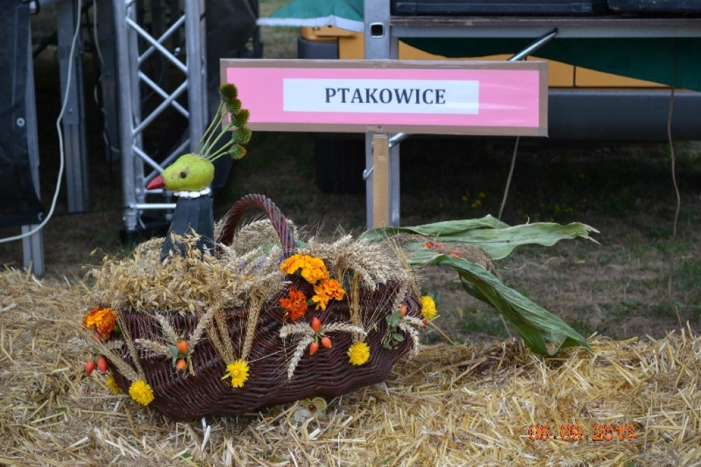 Lewin Brzeski - Gminne Święto Plonów w Sarnach Małych