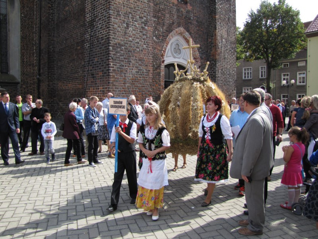 Dożynki Gminno-Powiatowe w Grodkowie [fotorelacja]