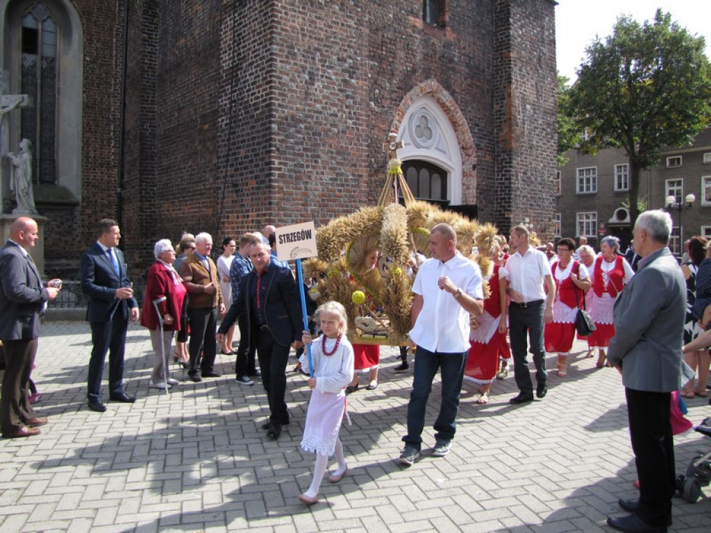 Dożynki Gminno-Powiatowe w Grodkowie [fotorelacja]