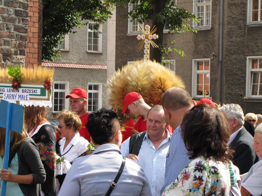 Dożynki Gminno-Powiatowe w Grodkowie [fotorelacja]