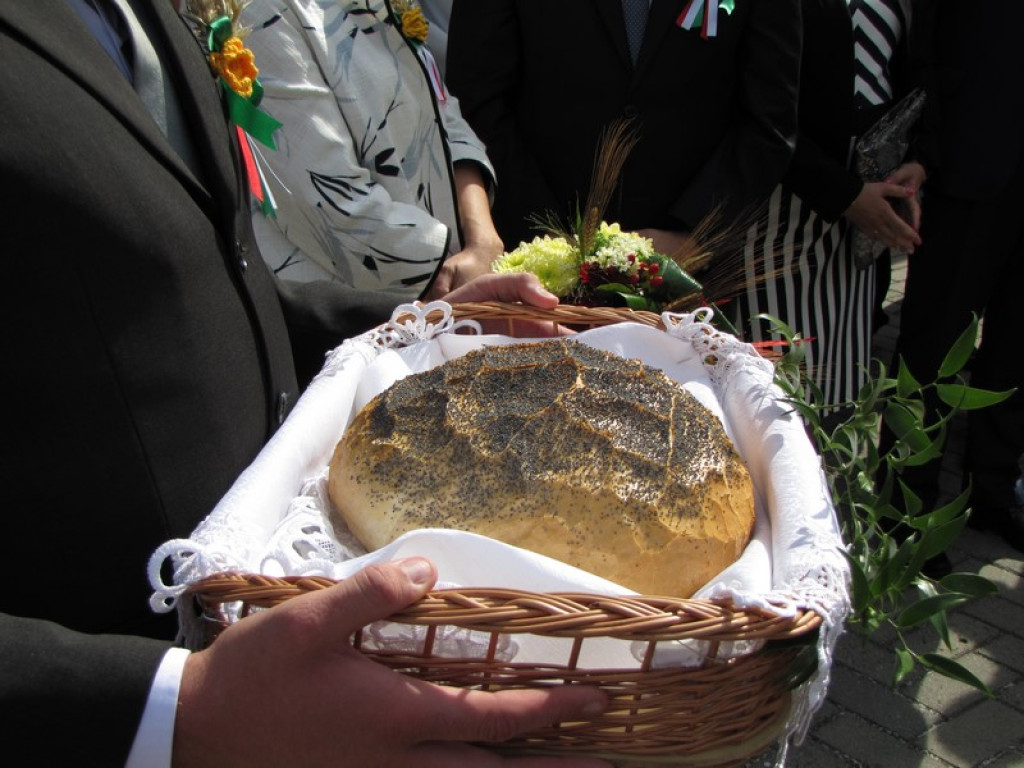Dożynki Gminno-Powiatowe w Grodkowie [fotorelacja]