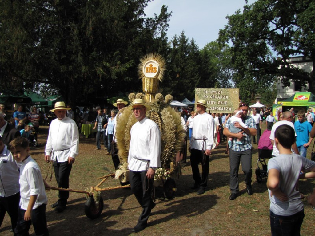 Dożynki Gminno-Powiatowe w Grodkowie [fotorelacja]