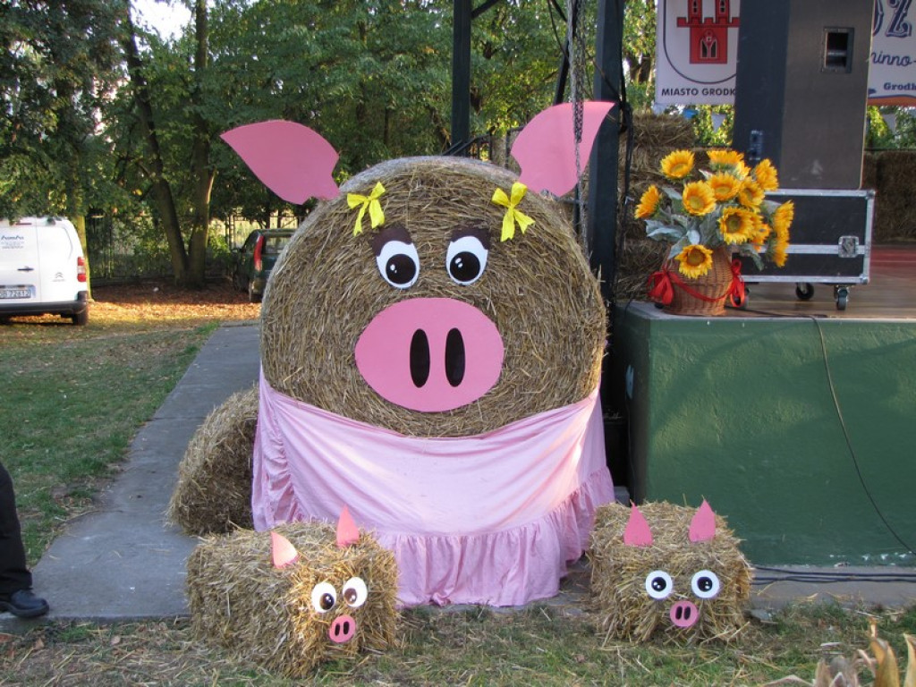 Dożynki Gminno-Powiatowe w Grodkowie [fotorelacja]