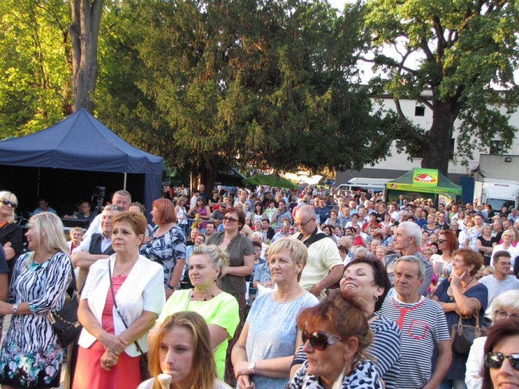 Dożynki Gminno-Powiatowe w Grodkowie [fotorelacja]