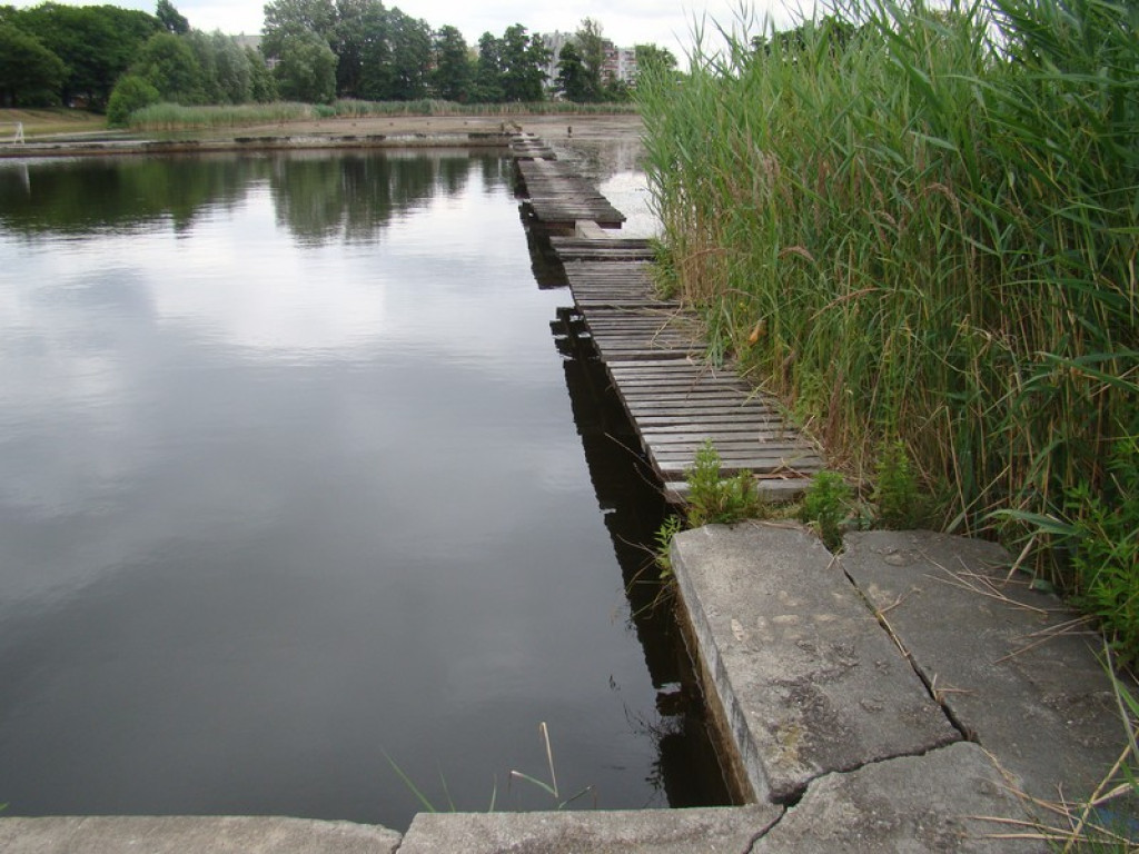 Brzeski basen odżyje? Badania wody są optymistyczne