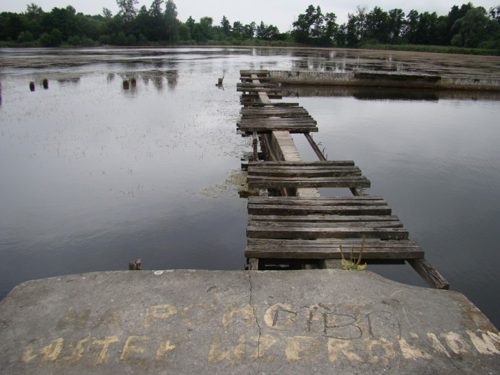 Brzeski basen odżyje? Badania wody są optymistyczne