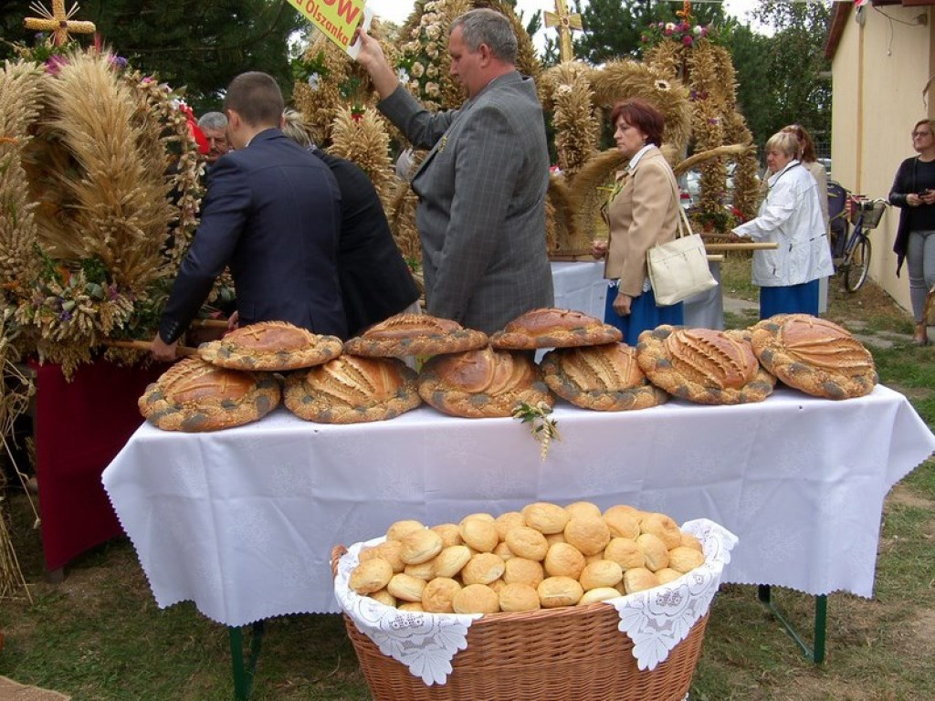 Dożynki Gminne Przylesie 2015