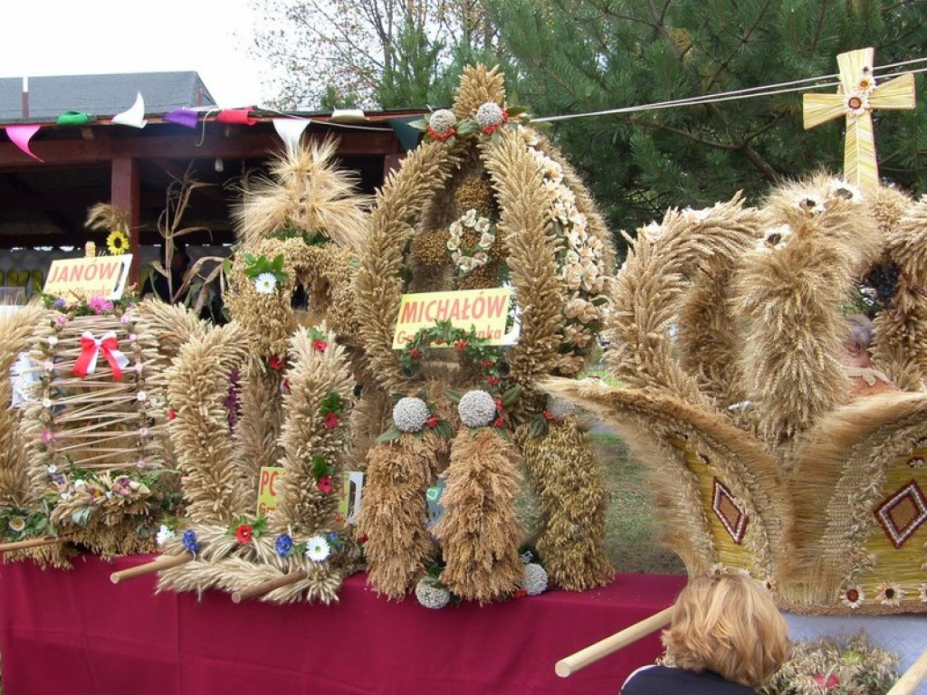 Dożynki Gminne Przylesie 2015