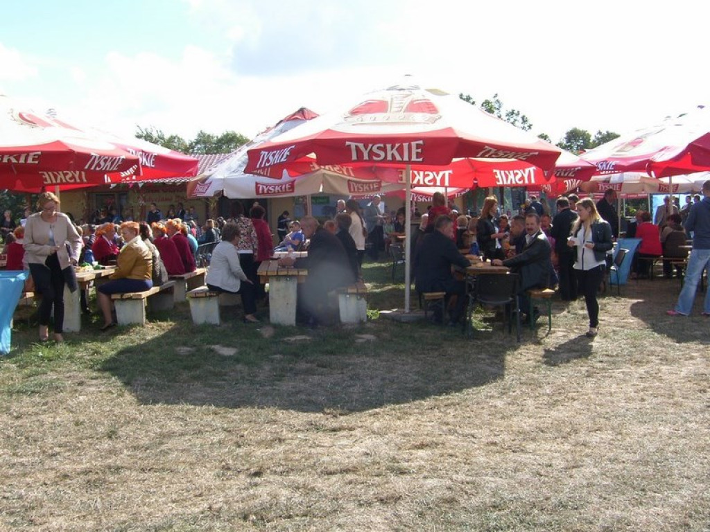 Dożynki Gminne Przylesie 2015