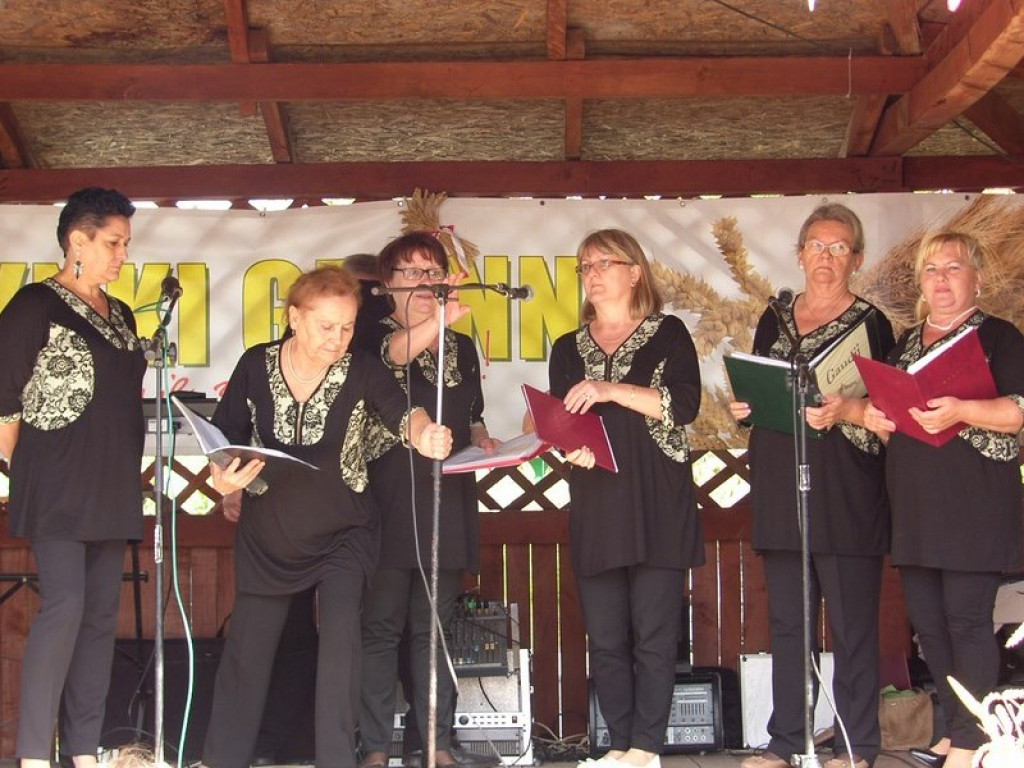 Dożynki Gminne Przylesie 2015