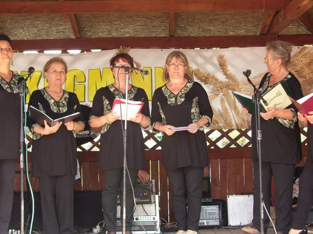 Dożynki Gminne Przylesie 2015