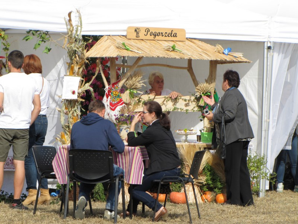 XV Europejskie Targi Chłopskie Krzyżowice 2015 [fotorelacja]
