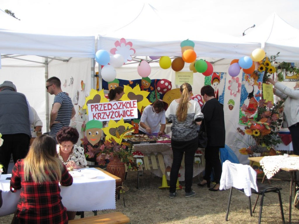 XV Europejskie Targi Chłopskie Krzyżowice 2015 [fotorelacja]