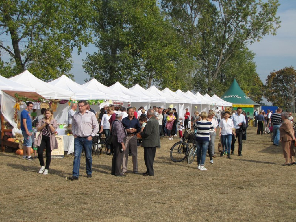 XV Europejskie Targi Chłopskie Krzyżowice 2015 [fotorelacja]