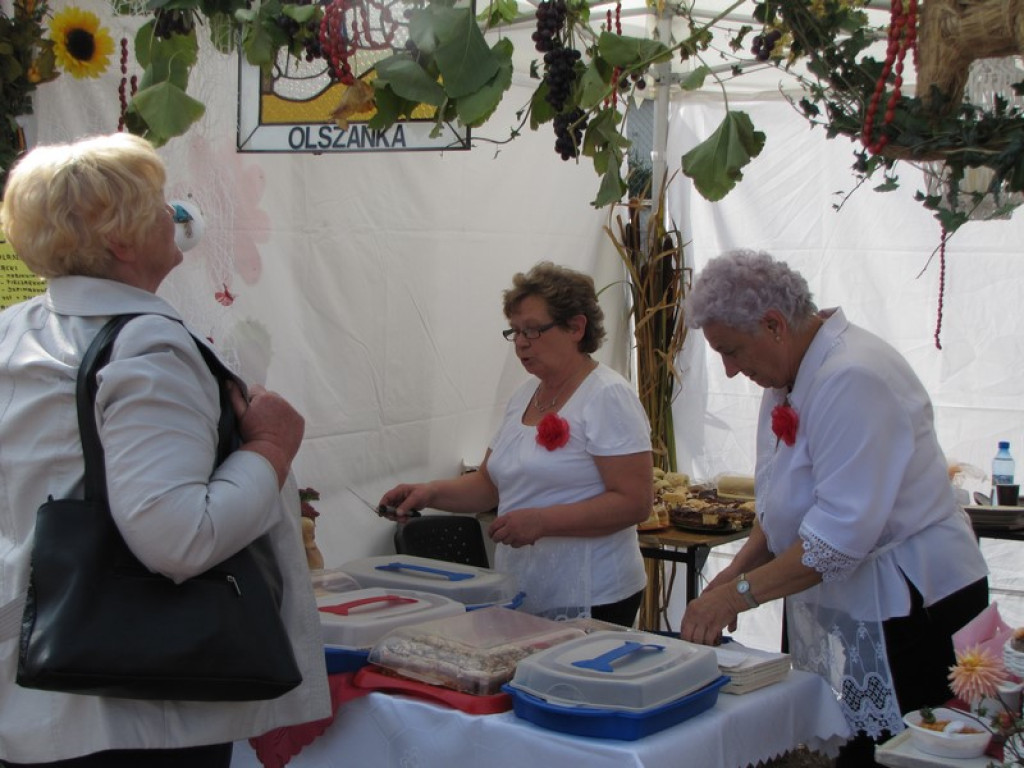 XV Europejskie Targi Chłopskie Krzyżowice 2015 [fotorelacja]