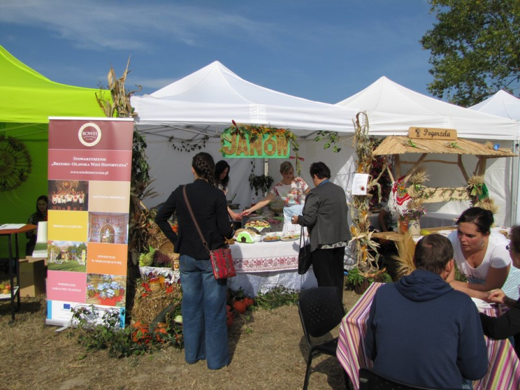 XV Europejskie Targi Chłopskie Krzyżowice 2015 [fotorelacja]