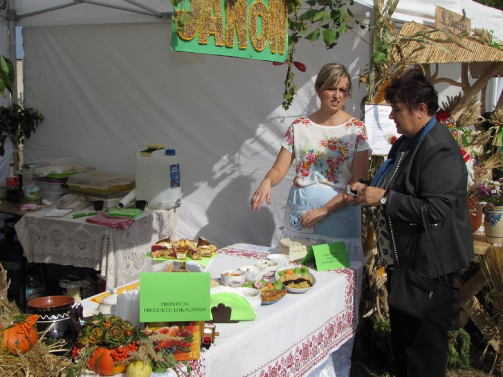 XV Europejskie Targi Chłopskie Krzyżowice 2015 [fotorelacja]