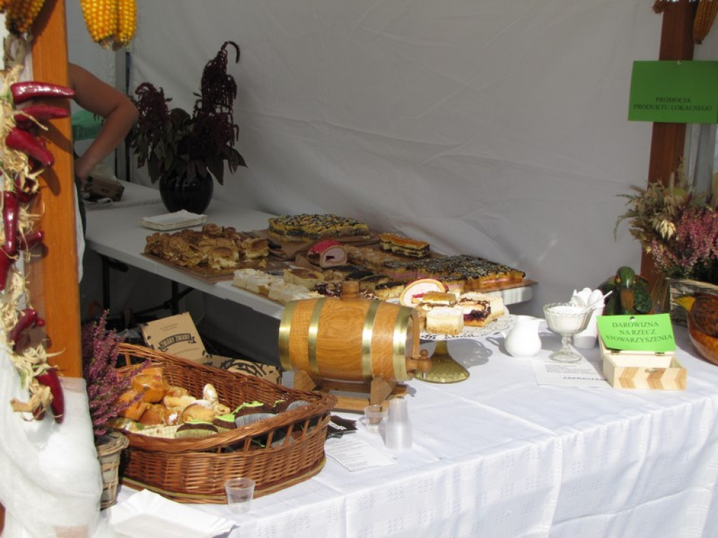 XV Europejskie Targi Chłopskie Krzyżowice 2015 [fotorelacja]