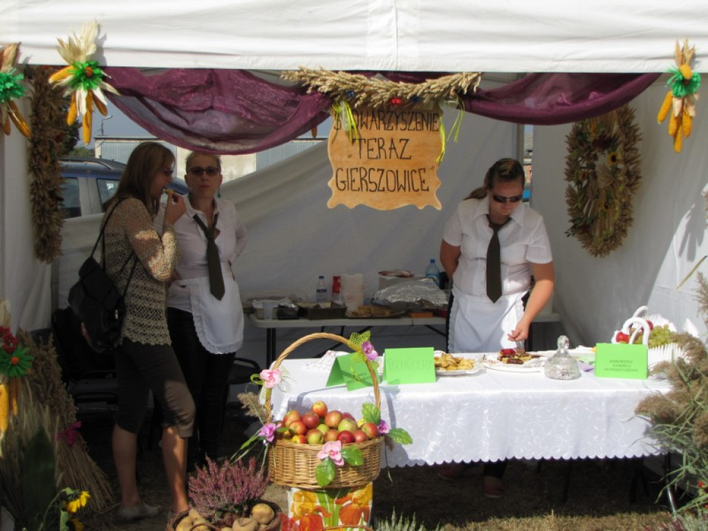 XV Europejskie Targi Chłopskie Krzyżowice 2015 [fotorelacja]