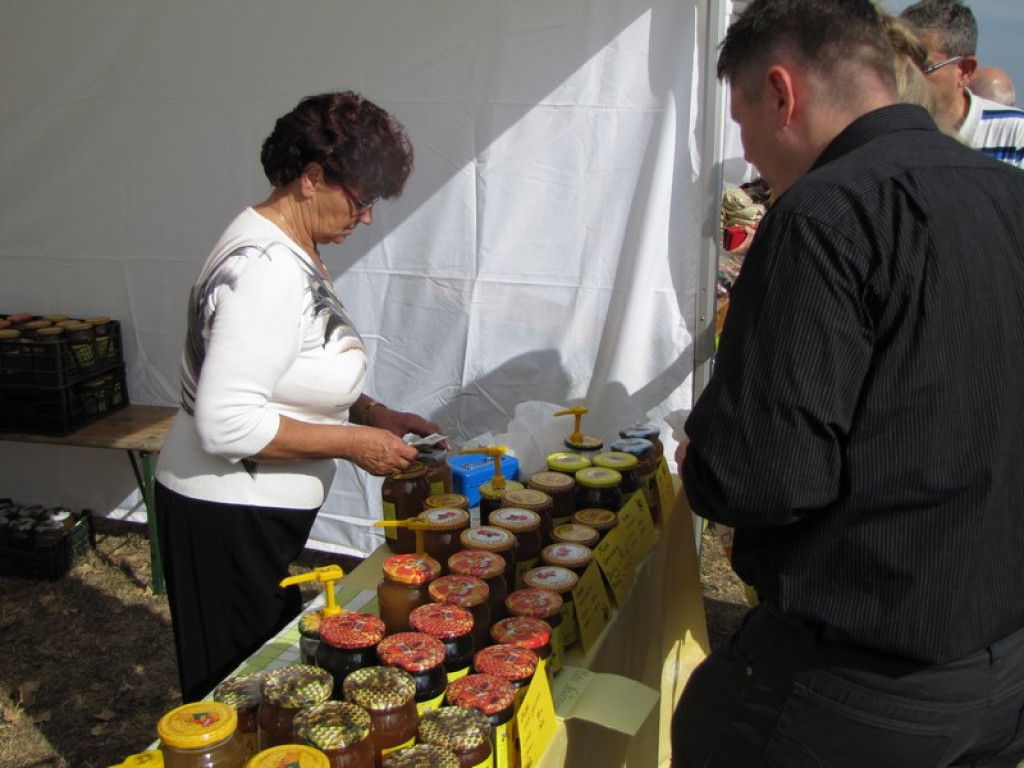 XV Europejskie Targi Chłopskie Krzyżowice 2015 [fotorelacja]