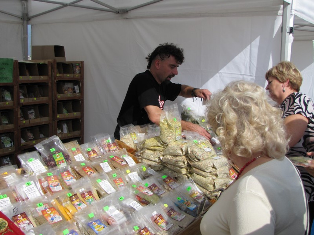 XV Europejskie Targi Chłopskie Krzyżowice 2015 [fotorelacja]