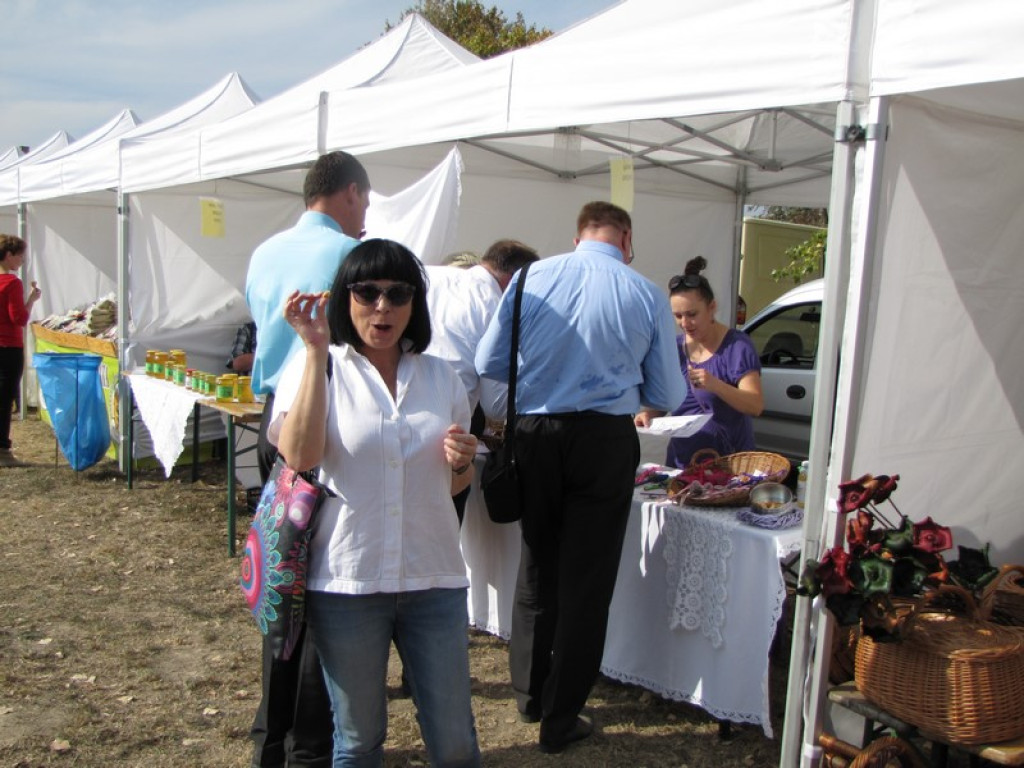 XV Europejskie Targi Chłopskie Krzyżowice 2015 [fotorelacja]