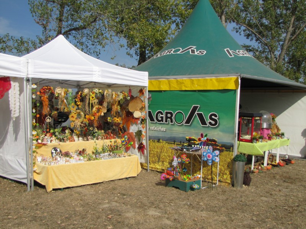 XV Europejskie Targi Chłopskie Krzyżowice 2015 [fotorelacja]