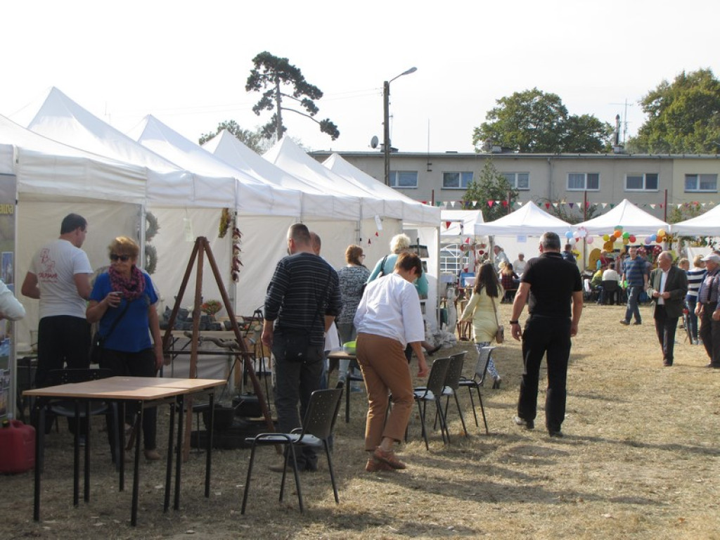XV Europejskie Targi Chłopskie Krzyżowice 2015 [fotorelacja]