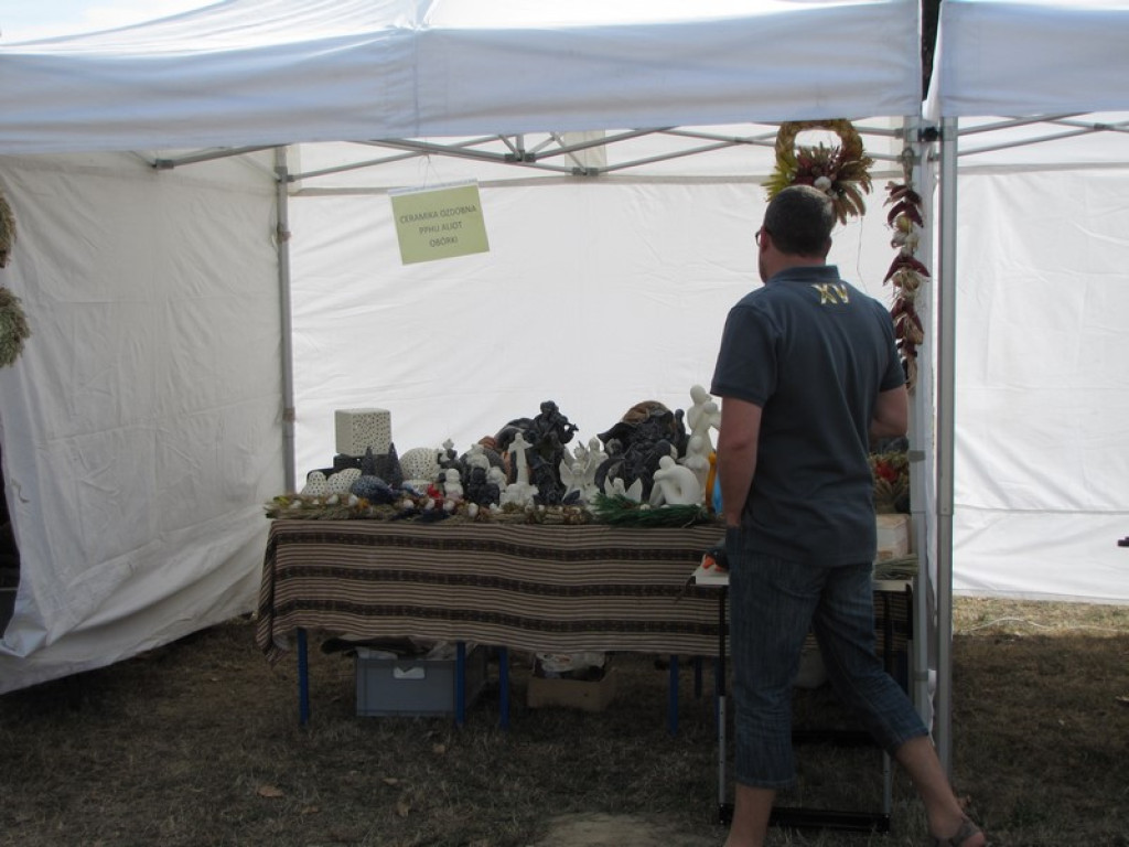 XV Europejskie Targi Chłopskie Krzyżowice 2015 [fotorelacja]