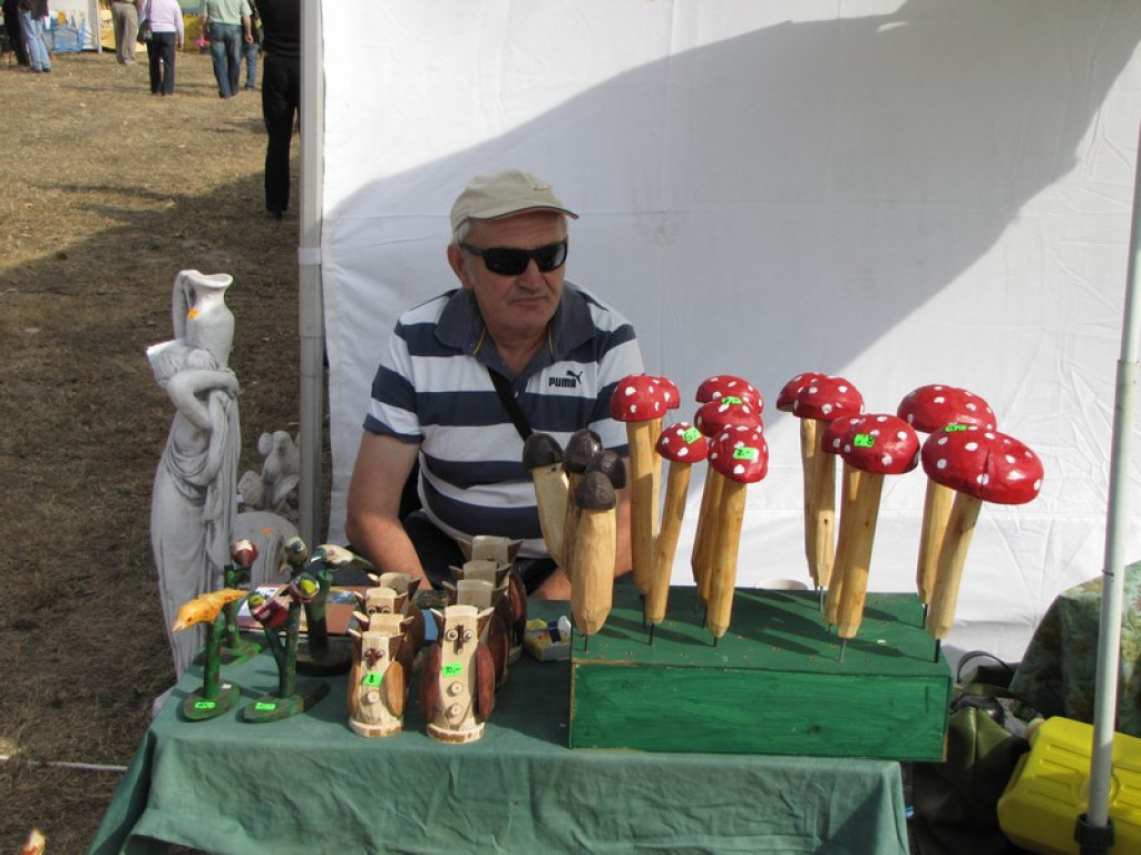 XV Europejskie Targi Chłopskie Krzyżowice 2015 [fotorelacja]