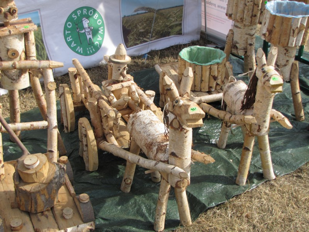 XV Europejskie Targi Chłopskie Krzyżowice 2015 [fotorelacja]