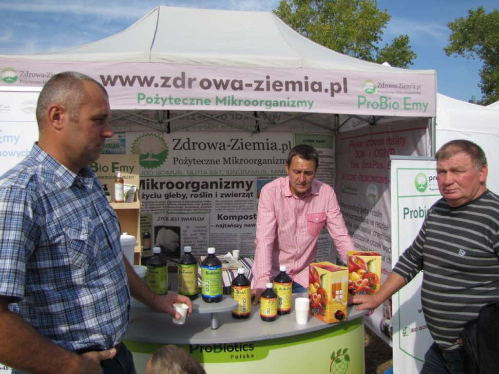 XV Europejskie Targi Chłopskie Krzyżowice 2015 [fotorelacja]