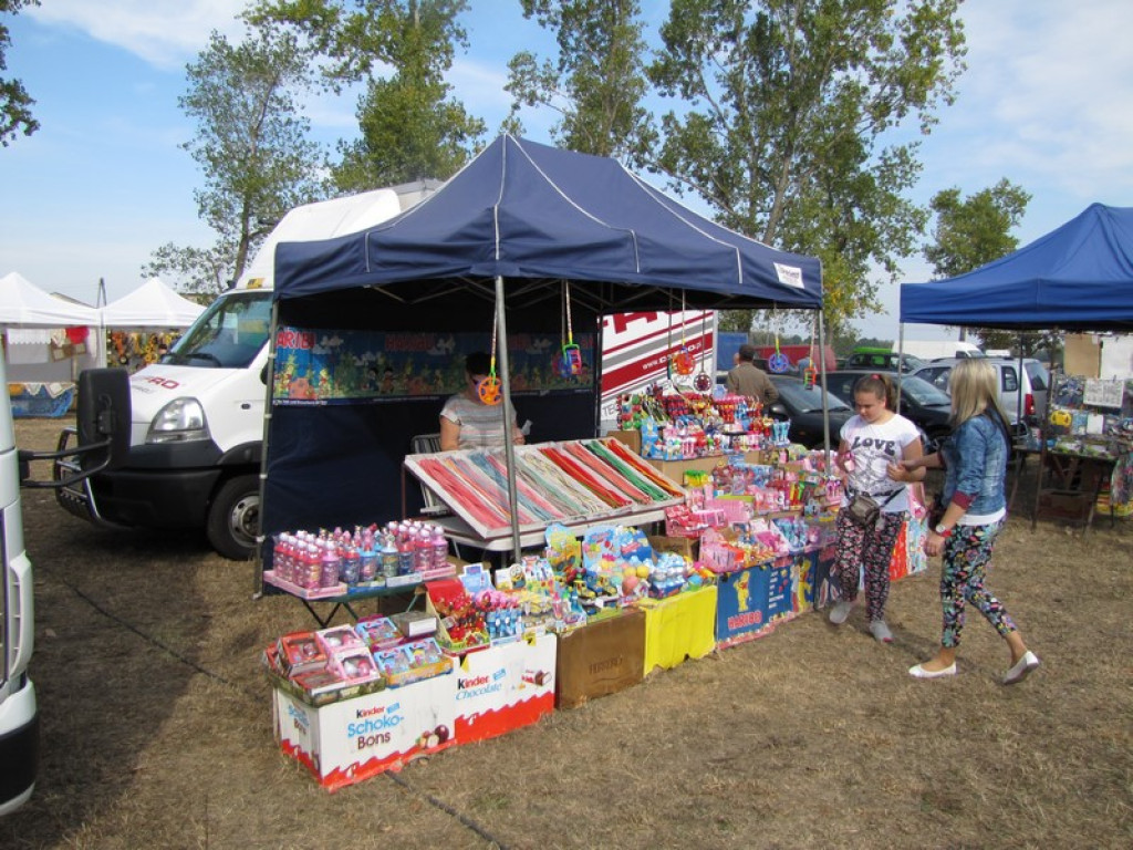 XV Europejskie Targi Chłopskie Krzyżowice 2015 [fotorelacja]