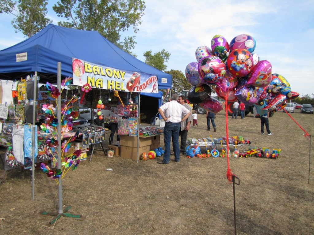 XV Europejskie Targi Chłopskie Krzyżowice 2015 [fotorelacja]