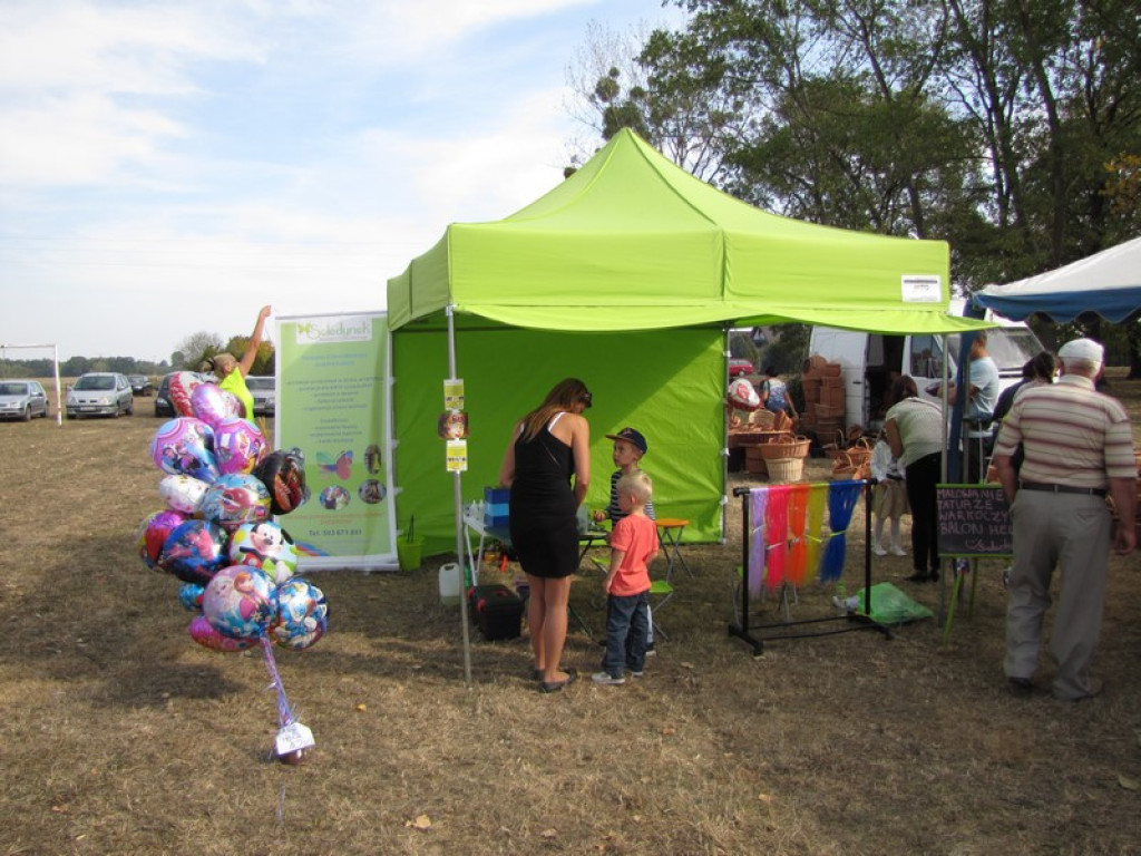 XV Europejskie Targi Chłopskie Krzyżowice 2015 [fotorelacja]