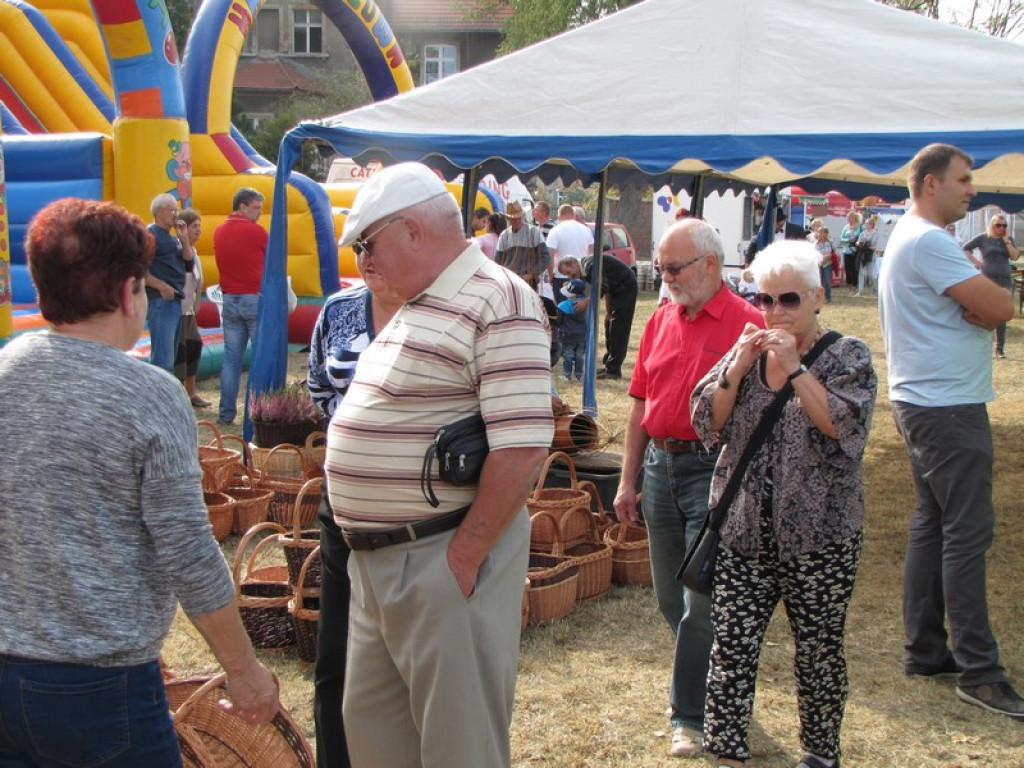 XV Europejskie Targi Chłopskie Krzyżowice 2015 [fotorelacja]