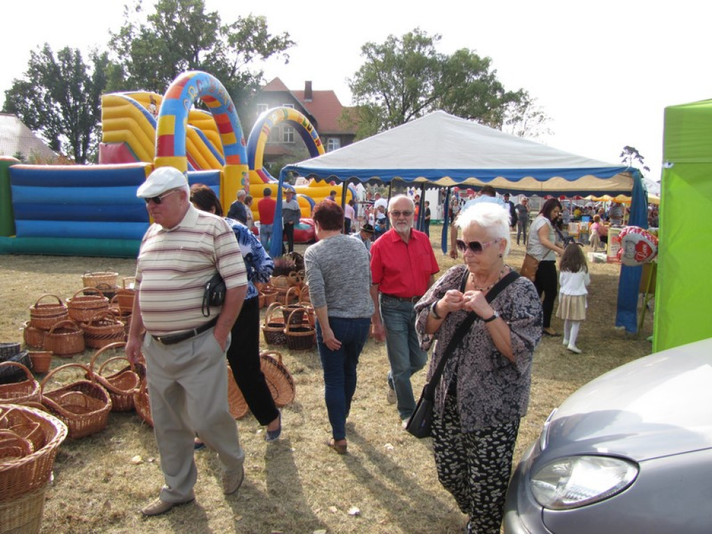 XV Europejskie Targi Chłopskie Krzyżowice 2015 [fotorelacja]