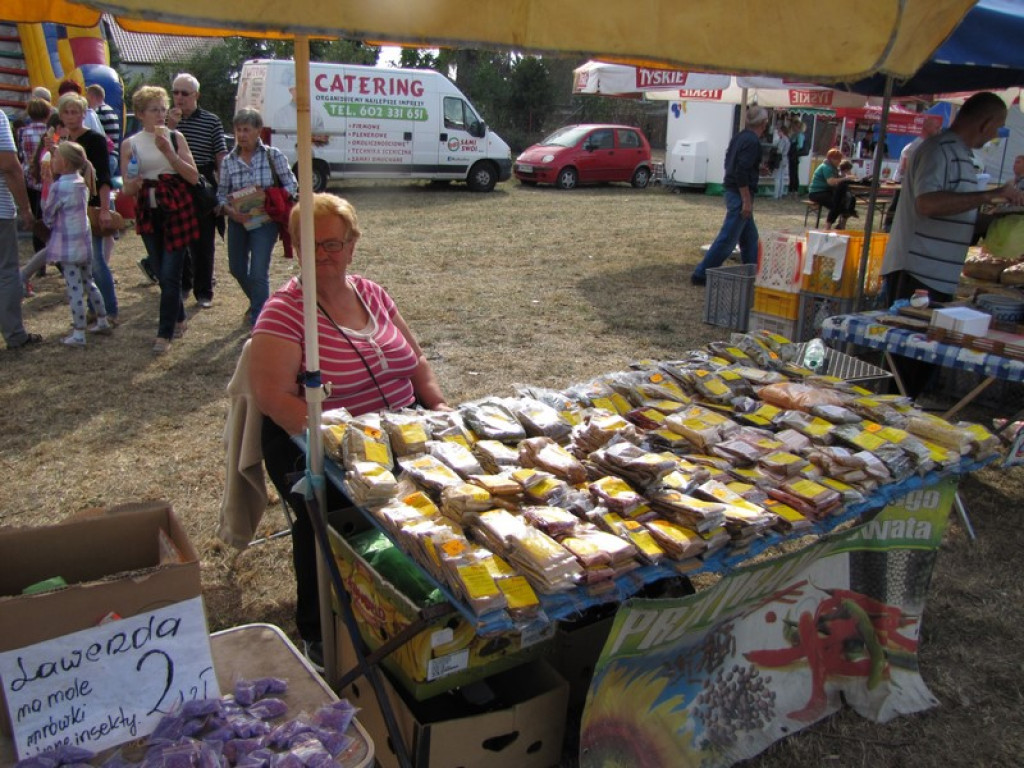 XV Europejskie Targi Chłopskie Krzyżowice 2015 [fotorelacja]