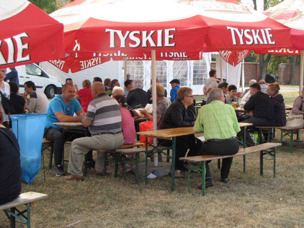 XV Europejskie Targi Chłopskie Krzyżowice 2015 [fotorelacja]