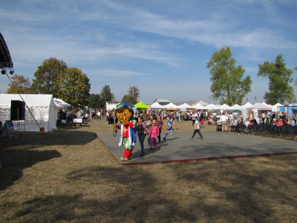 XV Europejskie Targi Chłopskie Krzyżowice 2015 [fotorelacja]