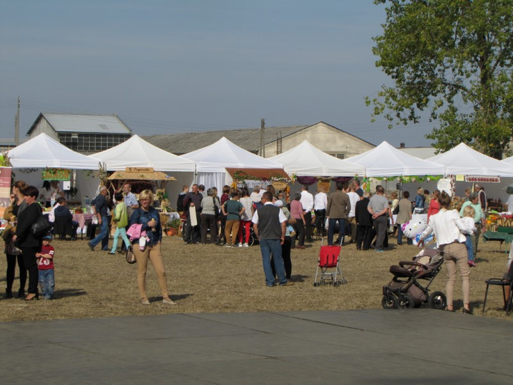 XV Europejskie Targi Chłopskie Krzyżowice 2015 [fotorelacja]