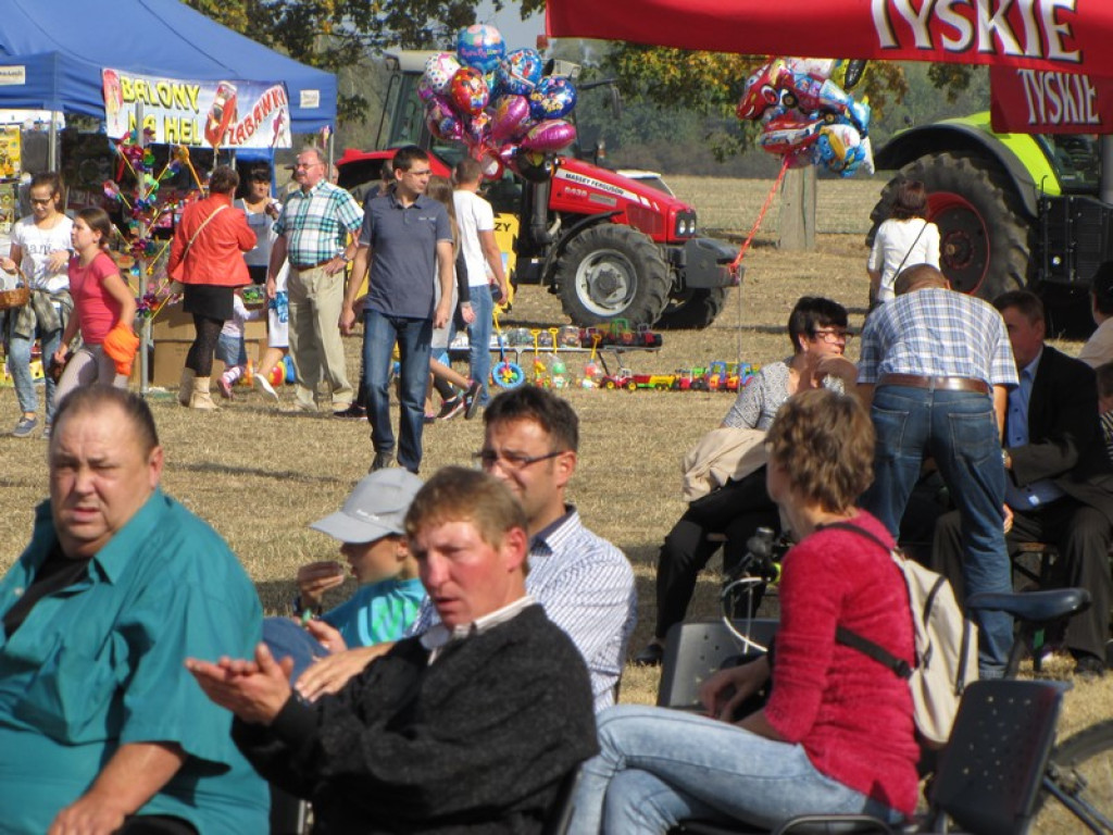 XV Europejskie Targi Chłopskie Krzyżowice 2015 [fotorelacja]