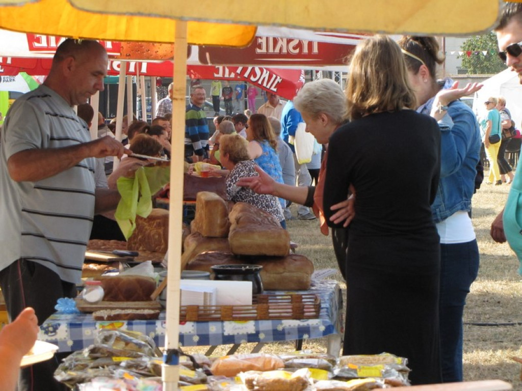 XV Europejskie Targi Chłopskie Krzyżowice 2015 [fotorelacja]